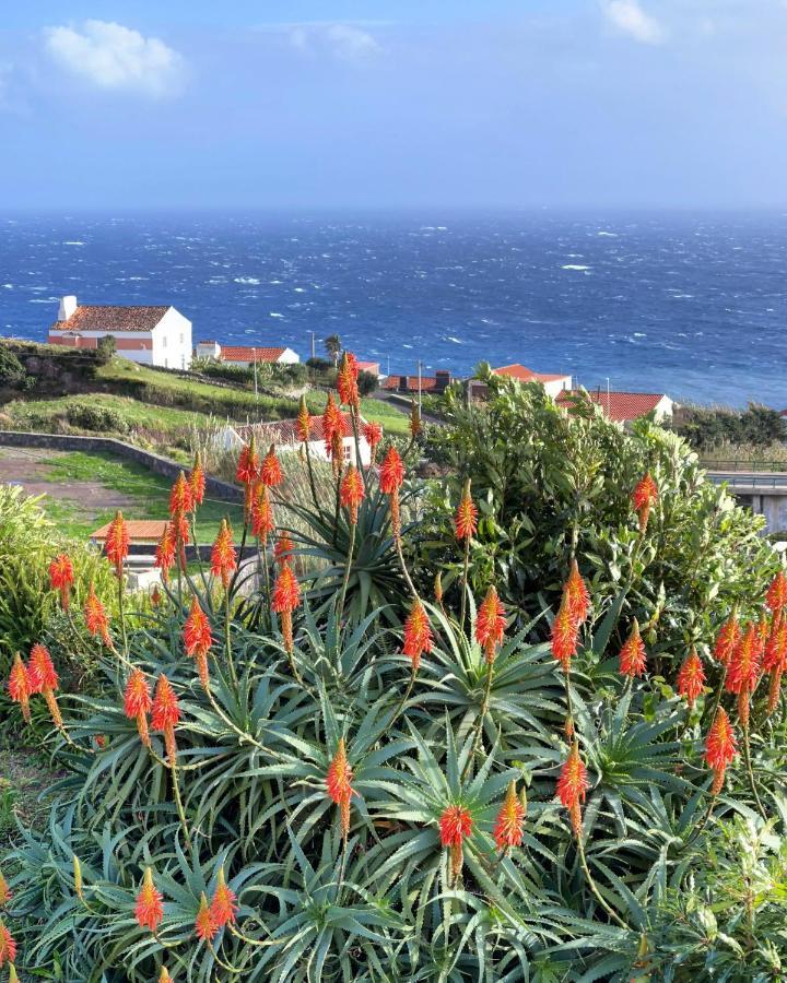 Vivenda Joaquim Βίλα Lajes das Flores Εξωτερικό φωτογραφία